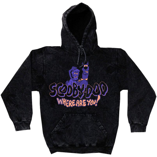 Terrifying Monsters Mineral Wash Hoodie